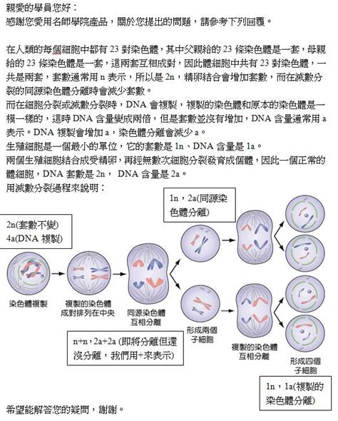 套數 意思